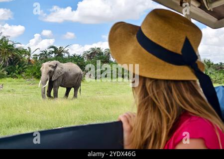 Vacanza Safari. Donna bionda che guarda gli elefanti africani dal tetto di un'auto da safari. Famiglia in vacanza safari nel parco nazionale di Amboseli. Foto della fauna selvatica Foto Stock