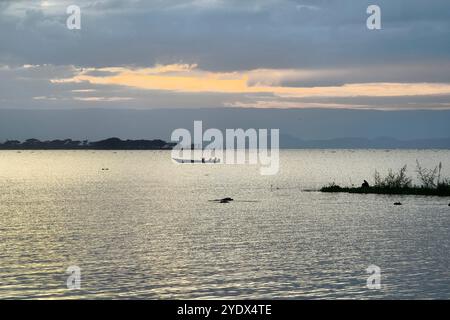 Vista tranquilla sul lago Naivasha al tramonto serale. Africa. Kenya. Il paesaggio del Kenya è bellissimo Foto Stock