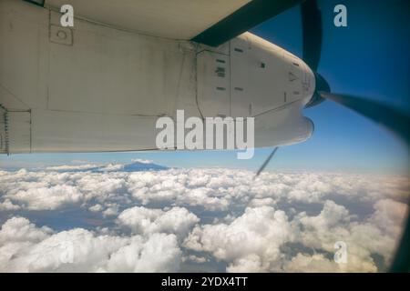 Elica del piano vista dalla finestra di aeroplano Foto Stock