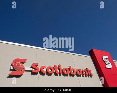 Toronto Canada / Scotiabank Branch su Avenue Road, North York, Toronto. Foto Stock