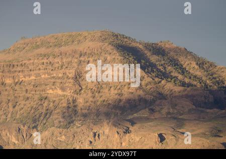 Montagna nel Parco naturale dei Pilanconi. San Bartolome de Tirajana. Gran Canaria. Isole Canarie. Spagna. Foto Stock