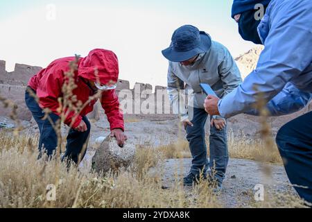 (241028) -- ATUX, 28 ottobre 2024 (Xinhua) -- i membri di una squadra di spedizione scientifica controllano un pezzo di reliquie alla rovina di un'antica caserma nella città di Muji della contea di Akto, nella prefettura autonoma di Kirgiz di Kizilsu nella regione autonoma di Xinjiang Uygur, nella Cina nord-occidentale, il 21 ottobre 2024. Una spedizione scientifica multidisciplinare di otto giorni è stata lanciata il 19 ottobre a Atux City nello Xinjiang. Durante la spedizione, i ricercatori hanno condotto indagini su antiche strade, siti storici e importanti marchi geografici nella prefettura autonoma di Kizilsu nello Xinjiang. (Xinhua/Ding lei) Foto Stock