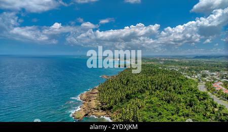 Vista aerea della costa settentrionale di Vega alta, Porto Rico, con lussureggianti foreste di palme verdi, costa frastagliata e il vasto oceano blu dei caraibi. Foto Stock