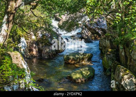 Fiume Nevis a Glen Nevis vicino a Fort William a Lochaber, Highlands scozzesi, Scozia Foto Stock