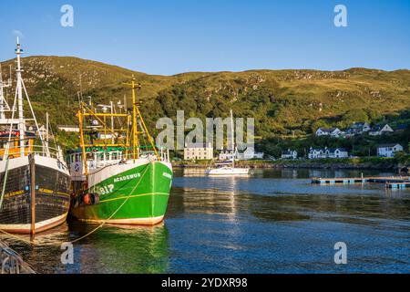 Colorate barche da pesca sulla banchina al porto di Mallaig - Mallaig, Lochaber, Highlands scozzesi, Scozia Foto Stock