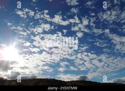 tramonto sulla foresta con cielo alto e piccole nuvole di cirrus e sole splendente con lunghi raggi, splendido paesaggio serale con sole tramontante e foresta Foto Stock