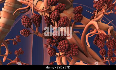 Alveoli nei polmoni che facilitano la respirazione e l'ossigenazione Foto Stock