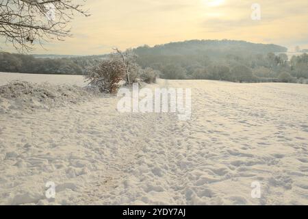 L'immagine cattura una tranquilla scena rurale con una luce soffusa e dorata sotto un cielo leggermente coperto. Foto Stock