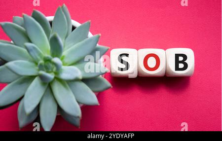 SOB - simbolo respiro corto. Cubi di legno con parole SOB. Bellissimo sfondo rosso con piante succulente. Concetto medico e SOB. Copia spazio. Foto Stock