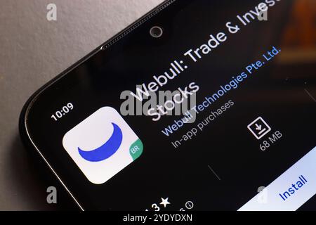 29 ottobre 2024, Portogallo. In questa immagine, il logo dell'app Webull viene visualizzato sullo schermo di uno smartphone Foto Stock