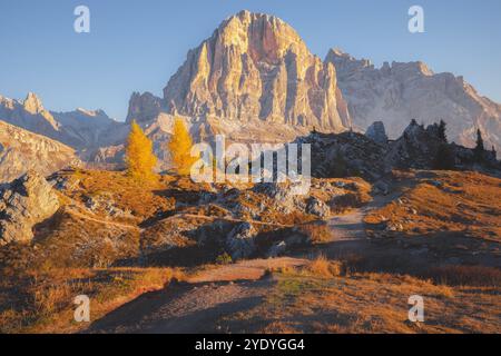 Larici dorati e aspri sentieri conducono alla maestosa vetta di Nuvolau nelle Dolomiti italiane, illuminata dalla calda luce mattutina dell'autunno. Foto Stock