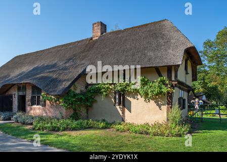 Fattoria del XVI secolo Bruegelhoeve Vorselaar nel villaggio ricreato di Kempen / Campine al museo all'aperto Bokrijk, Limburgo, Fiandre, Belgio Foto Stock