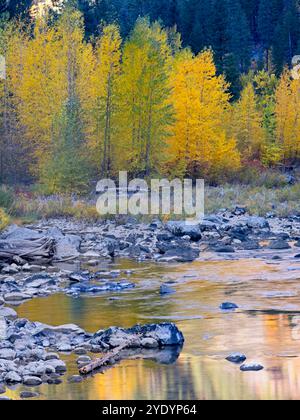 Una sezione d'acqua tranquilla nell'area del Tumwater Canyon del fiume Wenatchee in autunno vicino a Leavenworth, Washington. Foto Stock