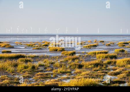 I grumi di sale e marram punteggiano la spiaggia di Hoylake, nella penisola di Wirral, in Inghilterra, con le turbine della Burbo Bank Offshore Wind Farm alle spalle. Foto Stock