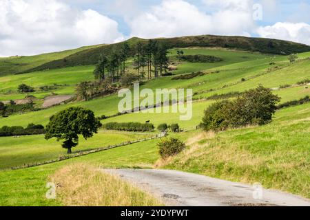 Il sentiero a lunga distanza della Glyndŵr attraversa terreni agricoli sulle colline ad ovest di Llanidloes nel Powys, Galles centrale. Foto Stock