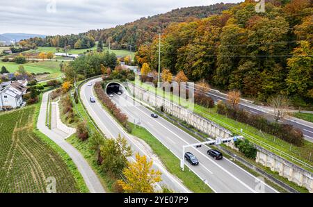 Flurlingen, Svizzera, 20 ottobre 2024: Veduta dall'alto dell'autostrada A4 e dell'ingresso e dell'uscita del tunnel Cholfirst. (Foto di Andreas Haas/d Foto Stock