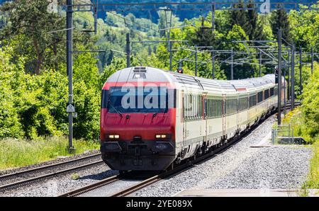 Böztal, Svizzera, 19 maggio 2024: L'Eurocity FFS parte da Zurigo a Basilea, in alta Fricktal. (Foto di Andreas Haas/dieBildmanufaktur) Foto Stock