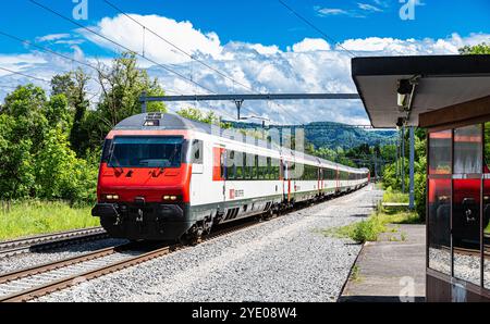 Böztal, Svizzera, 19 maggio 2024: L'Eurocity FFS parte da Zurigo a Basilea, in alta Fricktal. (Foto di Jonas Philippe/dieBildmanufaktur) Foto Stock