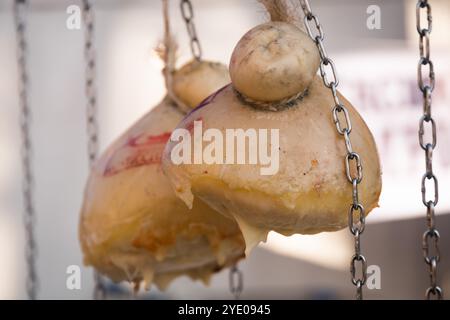 Primo piano di un pezzo di caciocavallo, tipico formaggio affumicato del sud Italia a Melfi, Basilicata Foto Stock
