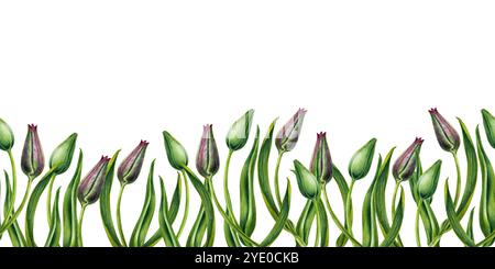 Boccioli verdi freschi di tulipani rosa. Striscione senza cuciture di fiori ad acquerello isolato su sfondo bianco. Clipart illustrativo per la festa della mamma, San Valentino Foto Stock