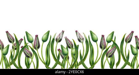 Boccioli verdi freschi di tulipani rosa. Striscione senza cuciture di fiori ad acquerello isolato su sfondo bianco. Clipart illustrativo per la festa della mamma, San Valentino Foto Stock