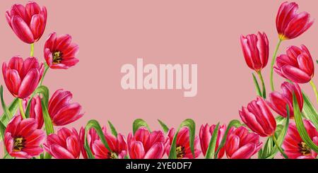 Tulipani rossi brillanti. Cornice orizzontale di fiori ad acquerello isolata su sfondo rosa. Clipart illustrativo per la festa della mamma, la festa della donna, San Valentino Foto Stock