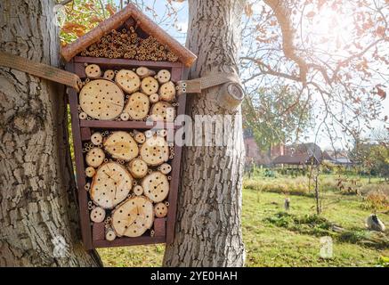 Casa di api e insetti o hotel in un giardino, attenzione selettiva. Foto Stock