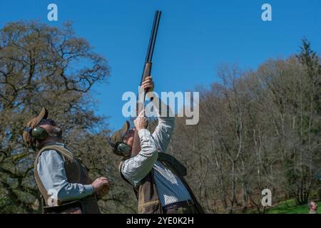 uomo che spara ai fagiani con un caricatore Foto Stock