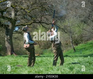 uomo che spara ai fagiani e al suo caricatore Foto Stock