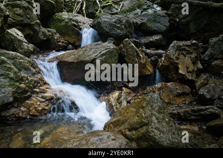 Una piccola cascata scorre dolcemente su rocce coperte di muschio. Foto Stock