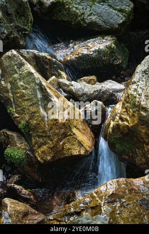 Una piccola cascata scorre dolcemente su rocce coperte di muschio. Foto Stock