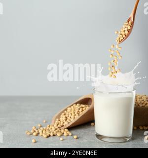 I semi di soia cadono dal cucchiaio di legno in un bicchiere di latte vegetale sul tavolo grigio. Spazio per il testo Foto Stock