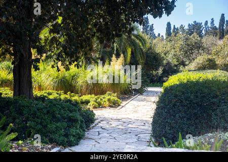 Il parco Ramat Hanadiv, Israele - 22 ottobre 2024, percorso con palme e cespugli e giardini nei Giardini commemorativi del barone Edmond de Rothschi Foto Stock