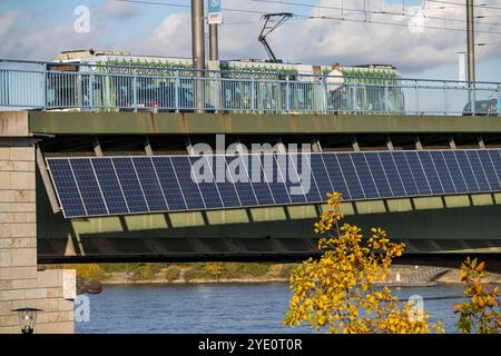 Die Kennedybrücke über den Rhein bei Bonn, längste Brücke mit einer Solaranlage in Deutschland, über 390 Solarmodule sind an der Südseite Straßenbrücke montiert, Leistung 90 kW, Wird ins öffentliche Netz gespeist, NRW, Deutschland, Solaranlage Kennedybrücke *** il ponte Kennedy sul Reno vicino a Bonn, il ponte più lungo con un impianto solare in Germania, oltre 390 moduli solari sono montati sul lato sud del ponte stradale, uscita 90 kW, alimentati nella rete pubblica tedesca, NRW installazione solare del ponte Kennedy Foto Stock