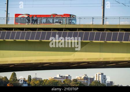 Die Kennedybrücke über den Rhein bei Bonn, längste Brücke mit einer Solaranlage in Deutschland, über 390 Solarmodule sind an der Südseite Straßenbrücke montiert, Leistung 90 kW, Wird ins öffentliche Netz gespeist, NRW, Deutschland, Solaranlage Kennedybrücke *** il ponte Kennedy sul Reno vicino a Bonn, il ponte più lungo con un impianto solare in Germania, oltre 390 moduli solari sono montati sul lato sud del ponte stradale, uscita 90 kW, alimentati nella rete pubblica tedesca, NRW installazione solare del ponte Kennedy Foto Stock