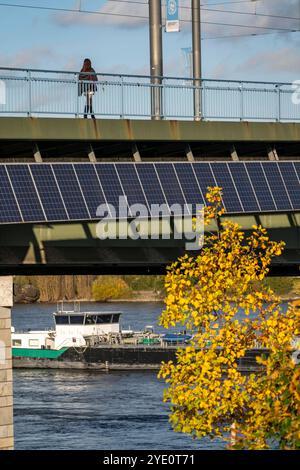 Die Kennedybrücke über den Rhein bei Bonn, längste Brücke mit einer Solaranlage in Deutschland, über 390 Solarmodule sind an der Südseite Straßenbrücke montiert, Leistung 90 kW, Wird ins öffentliche Netz gespeist, NRW, Deutschland, Solaranlage Kennedybrücke *** il ponte Kennedy sul Reno vicino a Bonn, il ponte più lungo con un impianto solare in Germania, oltre 390 moduli solari sono montati sul lato sud del ponte stradale, uscita 90 kW, alimentati nella rete pubblica tedesca, NRW installazione solare del ponte Kennedy Foto Stock