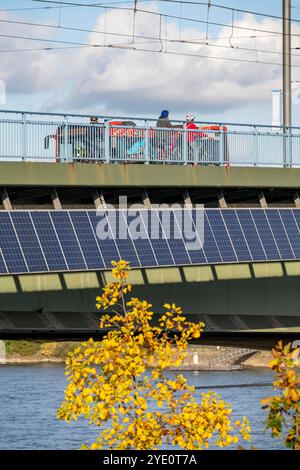 Die Kennedybrücke über den Rhein bei Bonn, längste Brücke mit einer Solaranlage in Deutschland, über 390 Solarmodule sind an der Südseite Straßenbrücke montiert, Leistung 90 kW, Wird ins öffentliche Netz gespeist, NRW, Deutschland, Solaranlage Kennedybrücke *** il ponte Kennedy sul Reno vicino a Bonn, il ponte più lungo con un impianto solare in Germania, oltre 390 moduli solari sono montati sul lato sud del ponte stradale, uscita 90 kW, alimentati nella rete pubblica tedesca, NRW installazione solare del ponte Kennedy Foto Stock