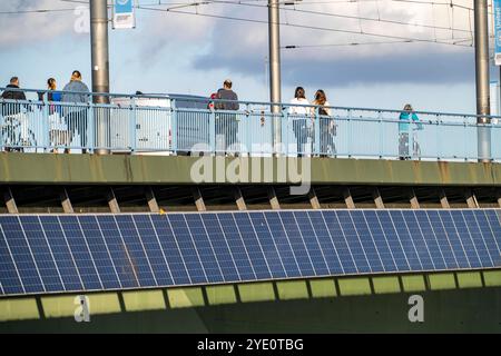 Die Kennedybrücke über den Rhein bei Bonn, längste Brücke mit einer Solaranlage in Deutschland, über 390 Solarmodule sind an der Südseite Straßenbrücke montiert, Leistung 90 kW, Wird ins öffentliche Netz gespeist, NRW, Deutschland, Solaranlage Kennedybrücke *** il ponte Kennedy sul Reno vicino a Bonn, il ponte più lungo con un impianto solare in Germania, oltre 390 moduli solari sono montati sul lato sud del ponte stradale, uscita 90 kW, alimentati nella rete pubblica tedesca, NRW installazione solare del ponte Kennedy Foto Stock
