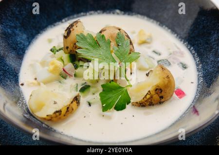 Zuppa estiva ghiacciata con verdure fresche, patate e base cremosa, rinfresco con clima caldo Foto Stock