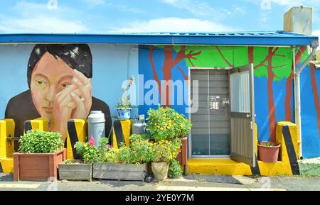 Casa con murales artistici nel villaggio culturale di Gamcheon (coreano: 감천문화마을) è una città all'interno di Gamcheon-dong, distretto di Saha, Busan, Corea del Sud. Foto Stock