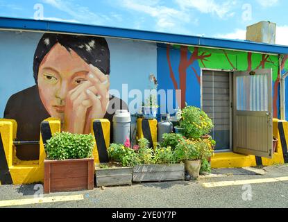 Casa con murales artistici nel villaggio culturale di Gamcheon (coreano: 감천문화마을) è una città all'interno di Gamcheon-dong, distretto di Saha, Busan, Corea del Sud. Foto Stock