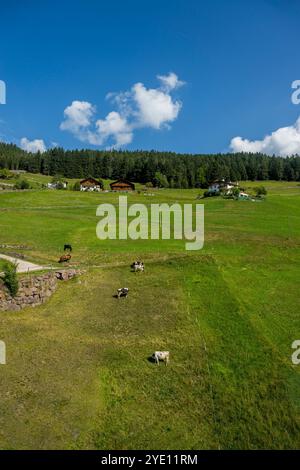 Vista dalla funivia fino a Seceda, sopra Ortisei (Sankt Ulrich) in Val Gardena, Dolomiti, alto Adige e Nord Italia. Foto Stock