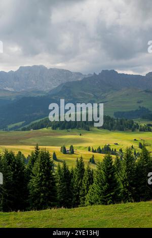 Vista del gruppo del Rosengarten dall'Almgasthof Mont Seuc, dall'Alpe di Siusi, il più grande prato alpino d'alta quota d'Europa, UNESCO Wor Foto Stock