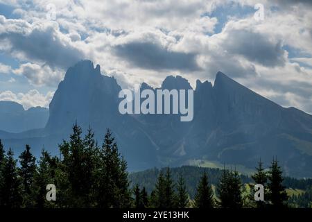 Vista del monte Langkofel (Sassolungo) dall'Almgasthof Mont Seuc, Alpe di Siusi, il più grande prato alpino d'alta quota di Euro Foto Stock