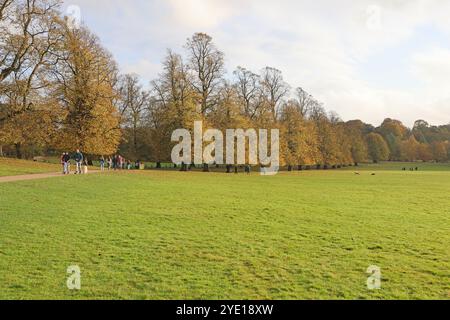 Wollaton Hall e Deer Park, Nottingham. Foto Stock