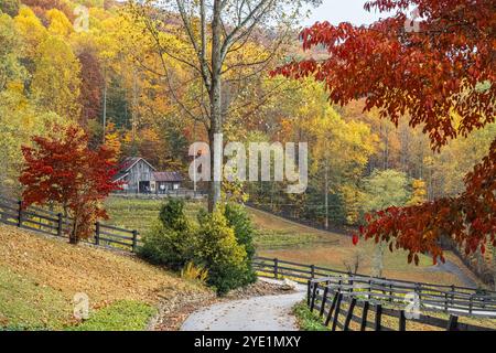 The Vineyard at High Holly, annidato nelle Blue Ridge Mountains e immerso nel colore autunnale, a Scaly Mountain, North Carolina, vicino alle Highlands. (USA) Foto Stock