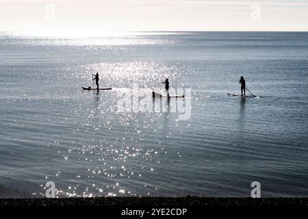 Tre pagaie silhoutted su un mare calmo Foto Stock