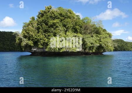 Piccola isola rocciosa coperta di alberi e arbusti nella laguna di Palau nel Pacifico occidentale, Repubblica di Palau, Micronesia, Australia, Oceania Foto Stock