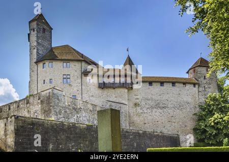 Il castello di Rapperswil risale al 1220 ed è menzionato per la prima volta nel 1229, in Svizzera, in Europa Foto Stock