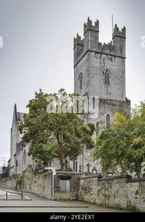 La cattedrale di Saint Mary, Limerick, è una cattedrale della Chiesa d'Irlanda a Limerick, in Irlanda, in Europa Foto Stock